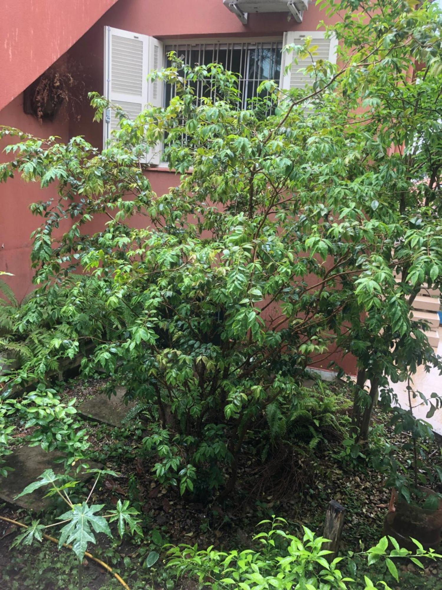 Hostel Martina, Suite 100M Spexpo São Paulo Exteriör bild
